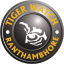 Tiger Watch